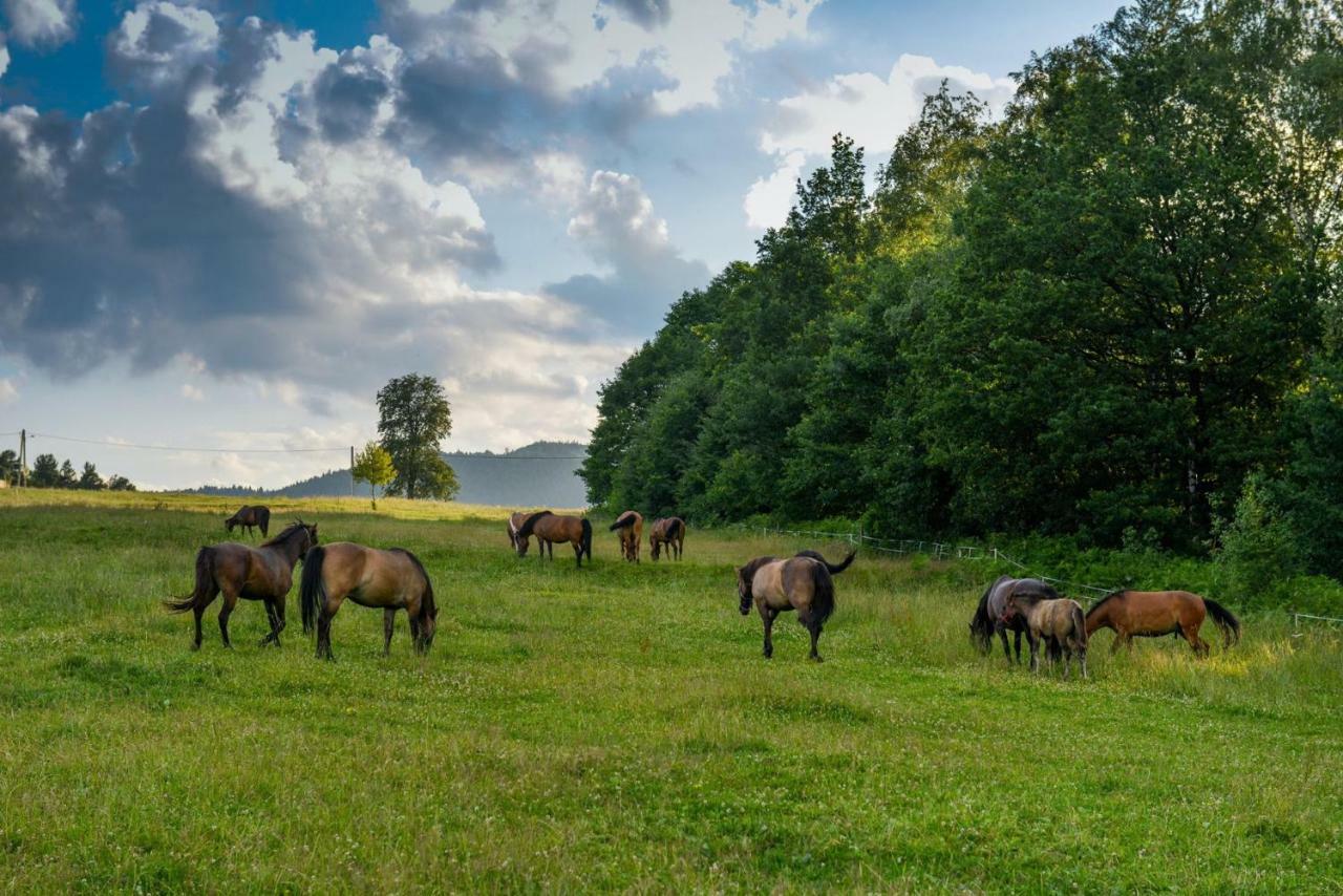 Stanica Hucul Hotell Sułkowice Exteriör bild
